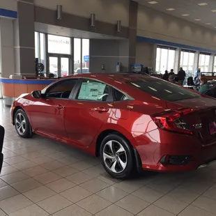 The new Honda Civics are pretty.