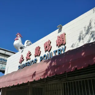 a rooster on top of a building
