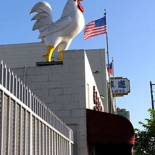 a large white rooster on top of a building