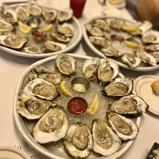 oysters, oysters and mussels, shellfish, food, mussels