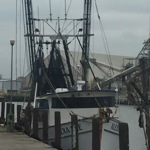 From our boats direct to you.