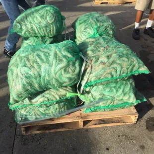 Unloading shrimp!!!   Look at the size of these..