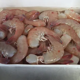 Here is a picture of the quality of shrimp we carry. Fresh off our boats to you!!