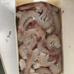 Shrimp
