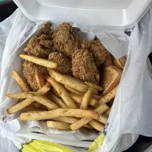 6 piece chicken wings with fries