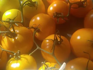 Mesa Community Farmers' Market