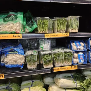 Sprouts!