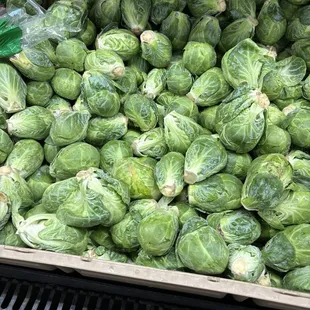 Huge Brussels sprouts 49c/lb