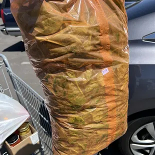 Large bag of Spinach for only $2.50!!!