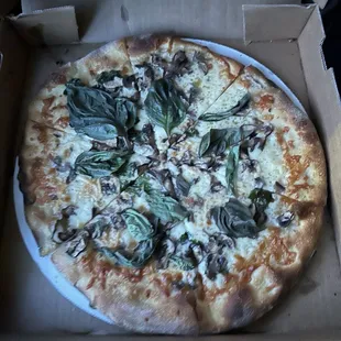 Extra mushroom Fungi pizza