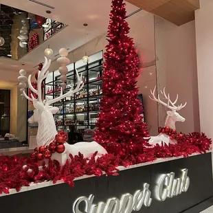 Amazing holiday decor at the entrance