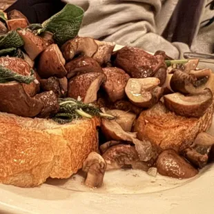 Mushrooms Trifolati Crostini