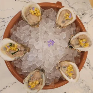 Raw Oysters