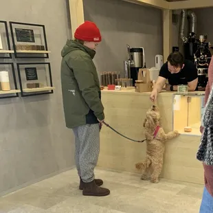 The very &quot;mean&quot; owner being very &quot;mean&quot; to this dog *rolls eyes*