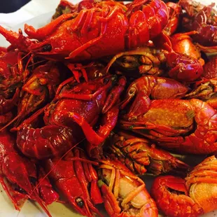 Crawfish
