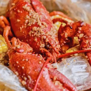 Whole Lobster