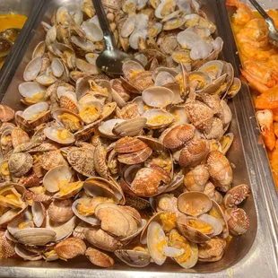 Clam Chowder
