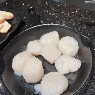 Scallop