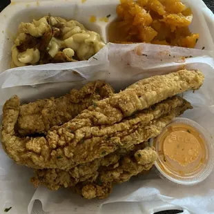 Fried fish, vegan macaroni and cheese (ate some), butternut squash