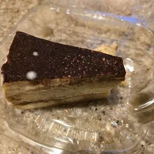 Moldy slice of Tiramisu