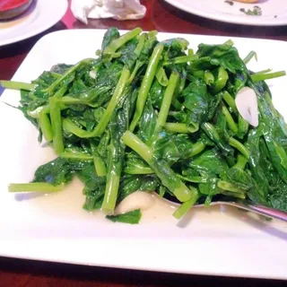 Snow Pea Leaves