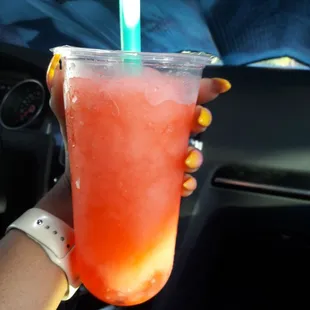 Watermelon Slush
