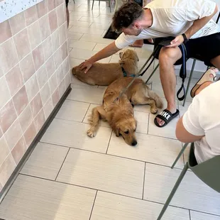 Had to step over these large dogs getting to and from my seat.