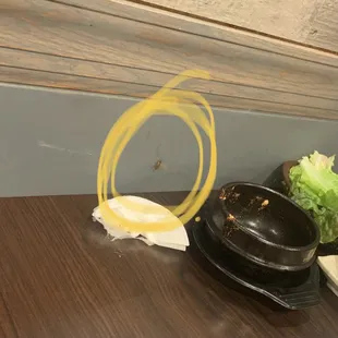 One of the roaches on the wall I killed during our dinner....