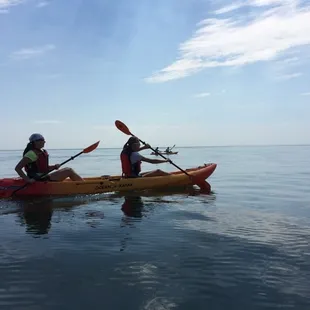 Ocean Kayak Dolphin Tours