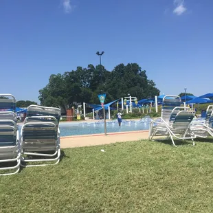 Yes that's a Tampin in the grass! Watch your step!!