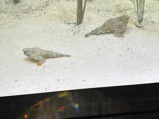 Children’s Aquarium at Fair Park