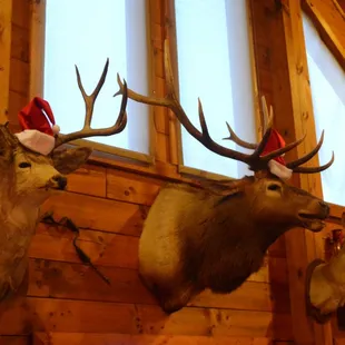 Festive hats but they won&apos;t be pulling and sleighs
