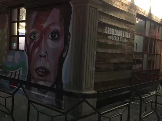 Dromedary Coming Out