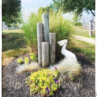 ramen and noodles, outside