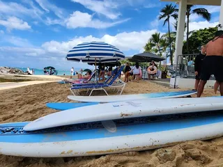 Gone Surfing Hawaii