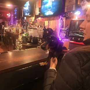 Tito loves the Surf Lounge