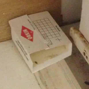 Cockroache trap under sink