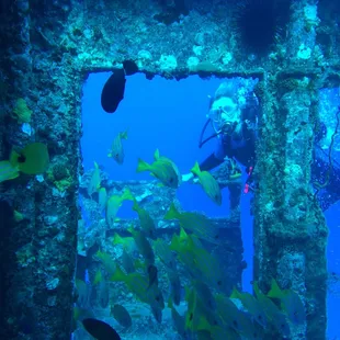 YO257 Boat DIve