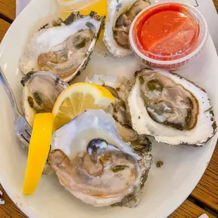 Raw Oysters