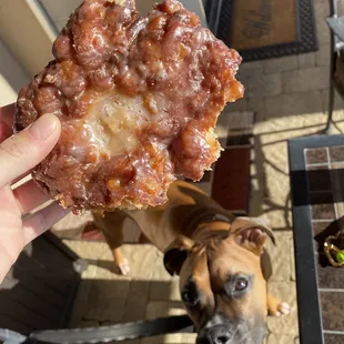 Apple Fritter