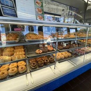 Lots of choices but I come for the fritters