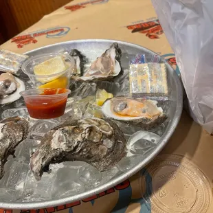 Oysters