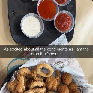 Appetizer Sampler (comes with all the sauces)