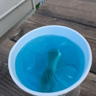 soups and chowder, drink