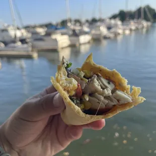 a hand holding a taco