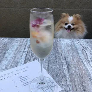 Kudiki Jozu (Ginjo) | Happy Hour - $6/glass