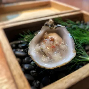 Shigoku Oyster with Asian Pear and Pink Peppercorn Mignonette