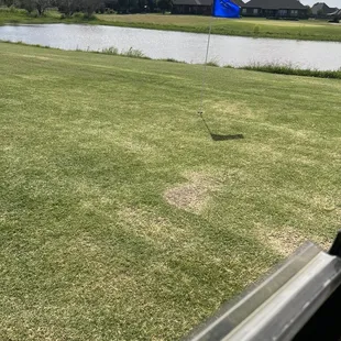 A green placed directly in the fairway......