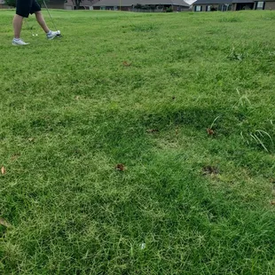 Terrible shape for a golf course. Waste of 50 bucks