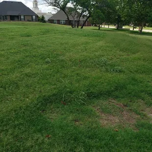 Terrible shape for a golf course. Waste of 50 bucks